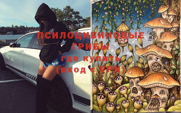 apvp Липки