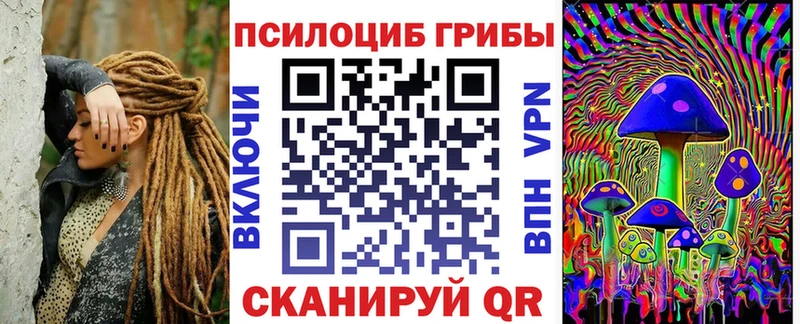 Купить закладки Дно Галлюциногенные грибы прущие грибы