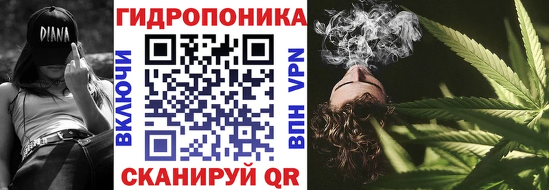 Купить где  Дно  Бошки марихуана Amnesia 